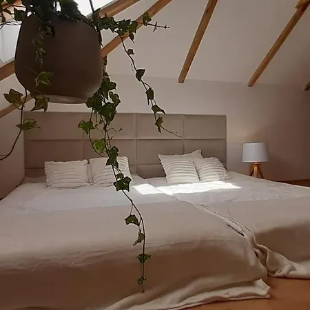 - Apartment Lapalice