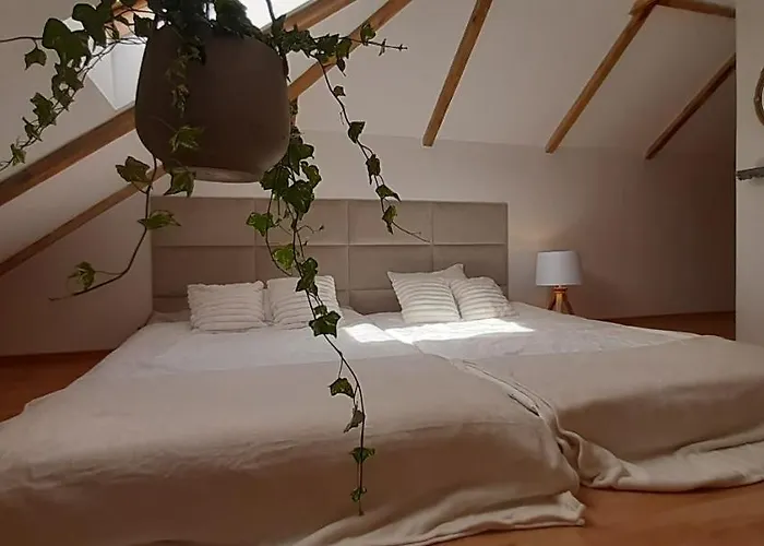 - Apartmán Lapalice